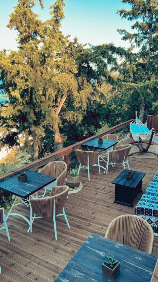 Spongia Apartments Kalymnos Eksteriør bilde